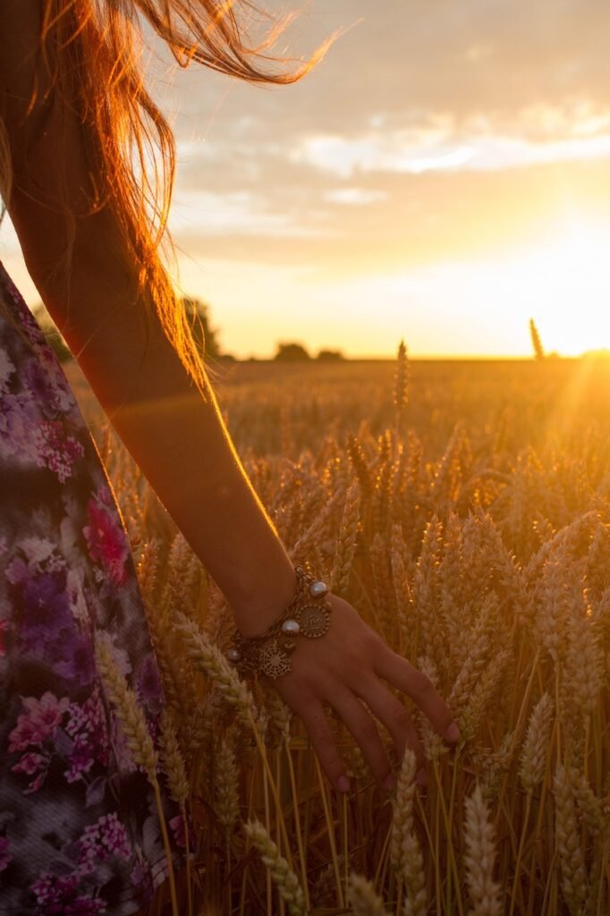 sunset 2581737 1280 sunset 2581737 1280